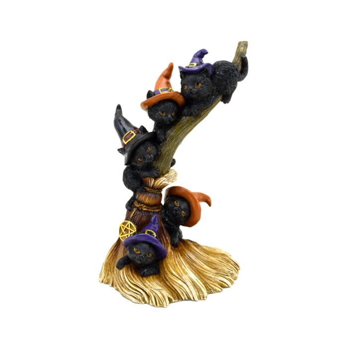 Heksen Zwarte Kat Climbing Broomstick