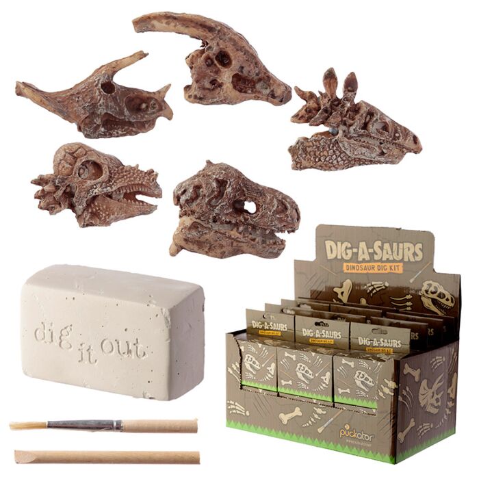 Rawr Dinosaurusus Schedel Fossiel Opgravings Set