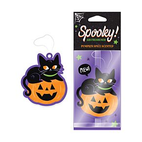 Pumpkin Spice Spooky Zwarte kat Pompoen Luchtverfrisser