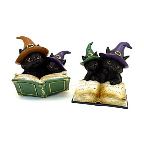 Heksen Zwarte Kat Magical Spell Book