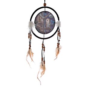 Lisa Parker Sprookjes Uil & Fee Dromenvanger 16cm