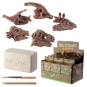 Rawr Dinosaurusus Schedel Fossiel Opgravings Set