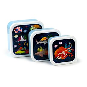 Set 3 Lunch Box M/L/XL - Marine Kingdom