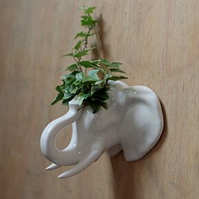 Keramiek Olifant Hoofd Wanddecoratie Bloempot Binnen