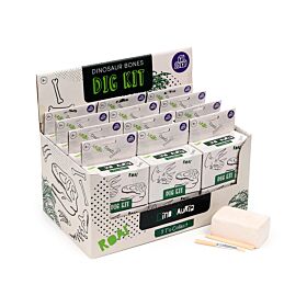 Rawr Dinosaurusus Schedel Fossiel Opgravings Set