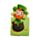 Luck of the Irish Ierland Magnetische Boekenlegger Set