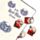 Schedels & Rozen Magnetische Boekenlegger Set