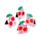 Kersen Magnetische Boekenlegger Set Cherry