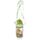 Zoo Duurzame BPA-vrij 450ml  Kinder Waterfles Rietje