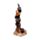 Heksen Zwarte Kat Climbing Broomstick