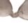 Relaxeazzz Pusheen de Kat Pluche Memory Foam Nekkussen