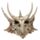 Draak Schedel Decoratie