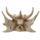 Draak Schedel Decoratie