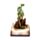 Dark Legends LED Betoverd Sprookjeskasteel Aarde Draak