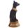 Egypte - Zwart & Goud Bast draagt een Scarabee Ketting