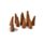 37183 Weerwolf Beet  -Stamford Black Wierook Kegels
