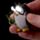 Octopus Pinguïn Dofijn LED Sleutelhouder