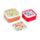 Set 3 Lunch Box M/L/XL -Tulpen