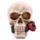 Schedel met Rozen Woonaccessoire