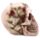 Schedel met Rozen Woonaccessoire
