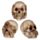 Set van 3 Horen Zien Zwijgen Schedels Small Woonaccessoire