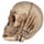 Set van 3 Horen Zien Zwijgen Schedels Small Woonaccessoire