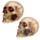 Schedel met Roos tussen Tanden Woonaccessoire