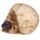 Schedel met Roos tussen Tanden Woonaccessoire