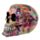 Regenboog Schedel Woonaccessoire
