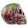Regenboog Schedel Woonaccessoire