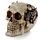 Steam Punk Stijl Schedel met Tandwielen Woonaccessoire