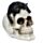 Schedel met Zwarte Kat Woonaccessoire