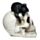 Schedel met Zwarte Kat Woonaccessoire