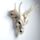 Drakenschedel Decoratie Metallic Woonaccessoire