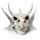Drakenschedel Decoratie Metallic Woonaccessoire