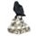 Kraai op Schedels Woonaccessoire