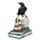 Kraai op Schedels & Boeken Woonaccessoire