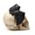 Schedel Hoofd met Vleermuis Woonaccessoire