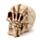 Schedel Hoofd met Skelet Klauw Woonaccessoire