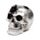 Zilverkleurige Schedel Zwarte Spinnen & Web
