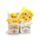 Squish Blox Springtime Lente Memory Foam Knijpspeelgoed