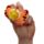 Queasy Squeezies Adoramals Leeuw Giraffe Aap en Tijger Pluche Speelgoed