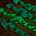 Minecraft Glow in the Dark Digitaal Siliconen Horloge
