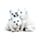 Wolf Puppy Trio