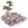 Bloemen Feeën Collector's Wereld Diplay