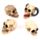 Schedel Miniatuur Beeldjes