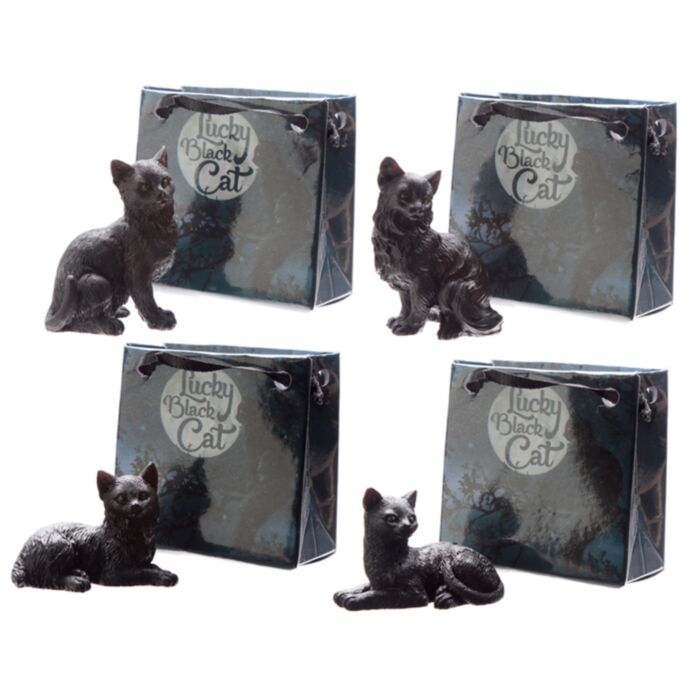 Zwarte Gelukskat in mini cadeautasje