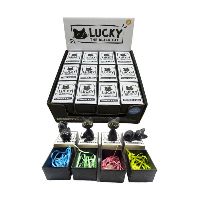 Lucky de Zwarte Kat  Charm in doosje