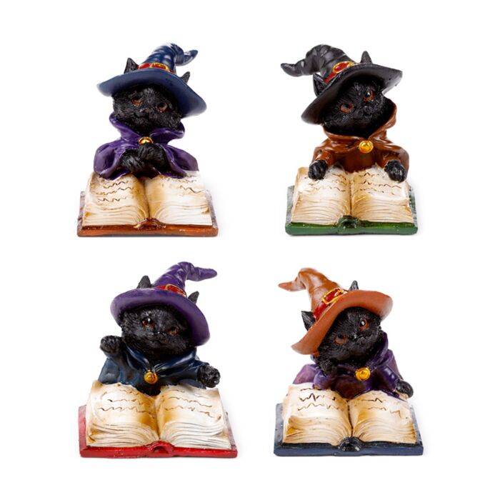 Heksen Zwarte Kat leest spreukenboek