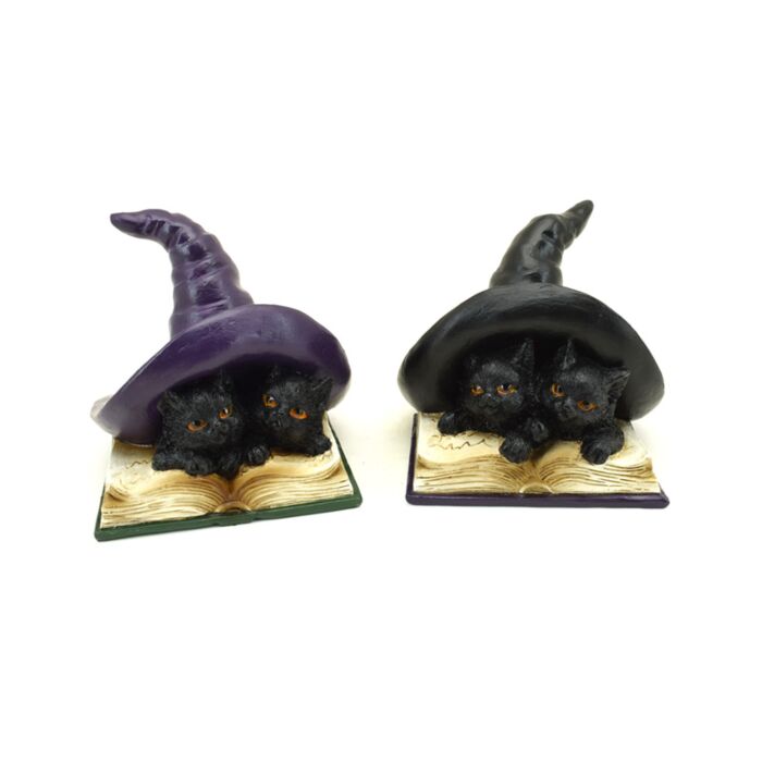 Heksen Zwarte Katten Leren Magische Spreuken